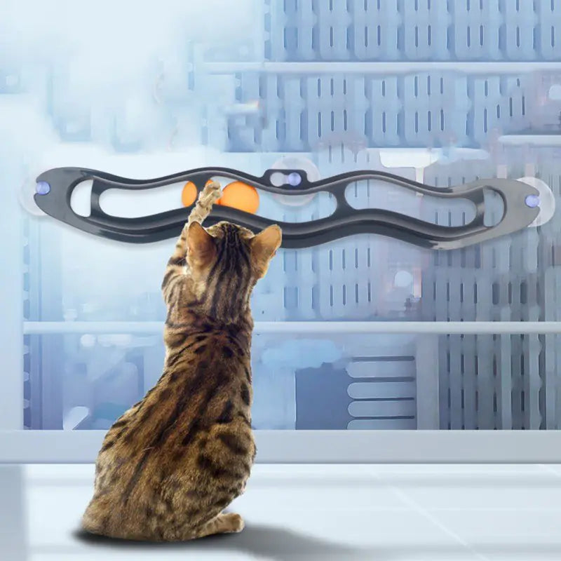 Window Whirl Cat Tracker