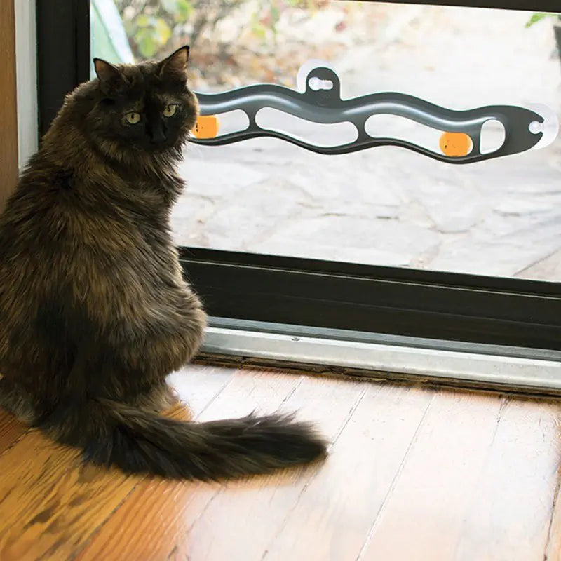 Window Whirl Cat Tracker