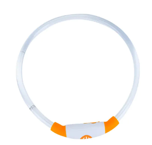 EcoGlow LED Dog Collar